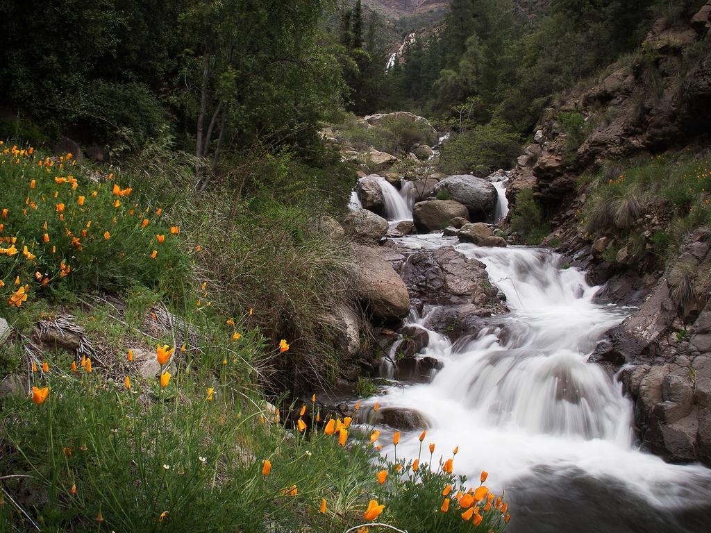 Cascada De Las Animas ซานอัลฟอนโซ ภายนอก รูปภาพ